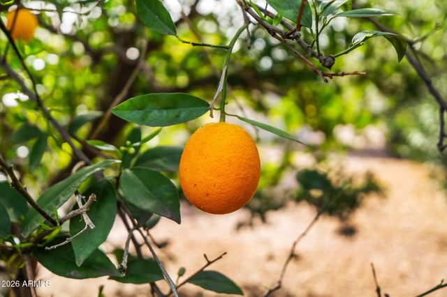 2155 LEISURE WORLD --, Mesa, AZ 85206