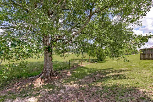 42568 Baystone Ave, Prairieville, LA 70769