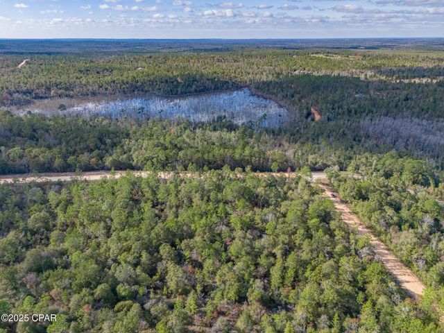 0000 Alene Drive, Alford, FL 32420