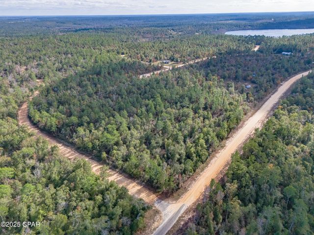 0000 Alene Drive, Alford, FL 32420