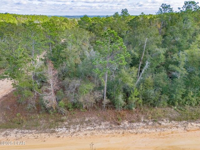 0000 Alene Drive, Alford, FL 32420