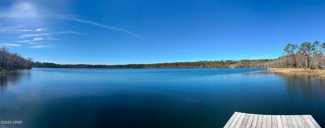 0000 Alene Drive, Alford, FL 32420