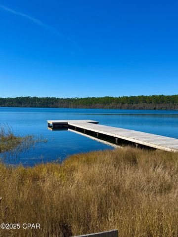 0000 Alene Drive, Alford, FL 32420