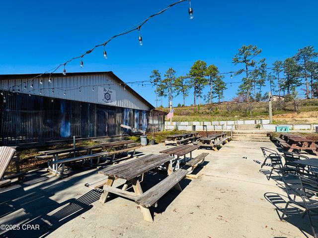 0000 Alene Drive, Alford, FL 32420