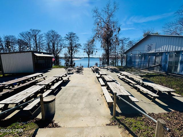 0000 Alene Drive, Alford, FL 32420