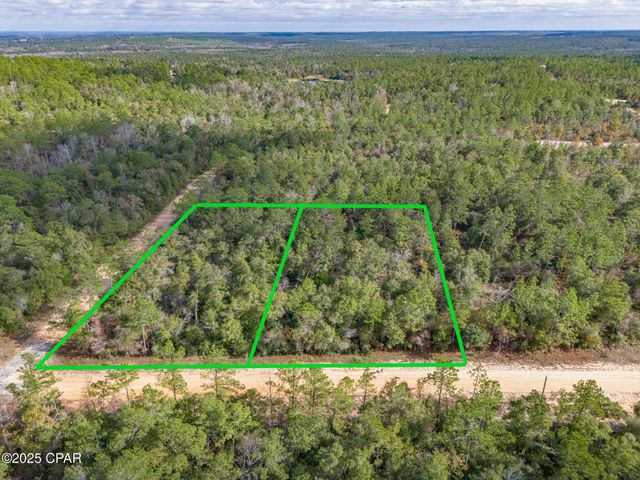 0000 Alene Drive, Alford, FL 32420