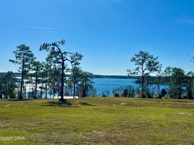 0000 Alene Drive, Alford, FL 32420