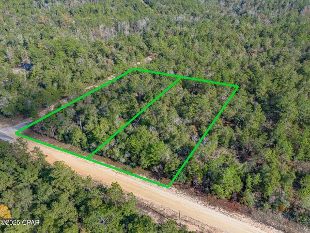 0000 Alene Drive, Alford, FL 32420