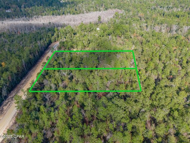 0000 Alene Drive, Alford, FL 32420