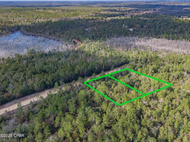 0000 Alene Drive, Alford, FL 32420