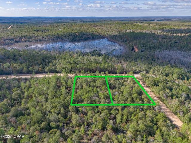 0000 Alene Drive, Alford, FL 32420