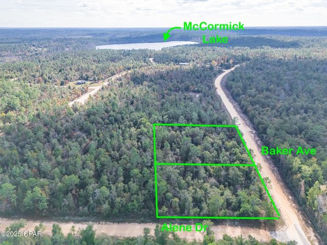 0000 Alene Drive, Alford, FL 32420