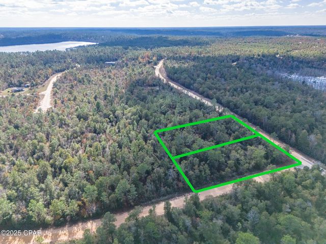 0000 Alene Drive, Alford, FL 32420