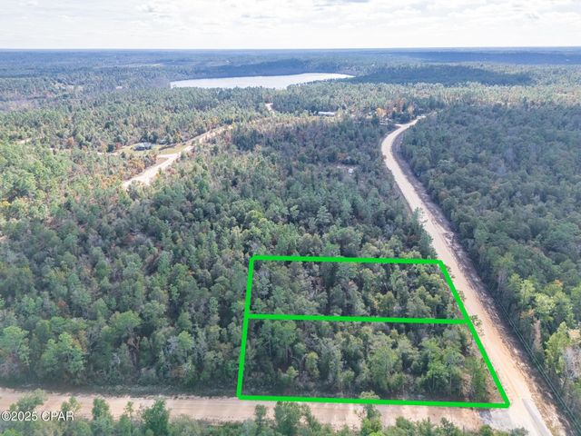 0000 Alene Drive, Alford, FL 32420