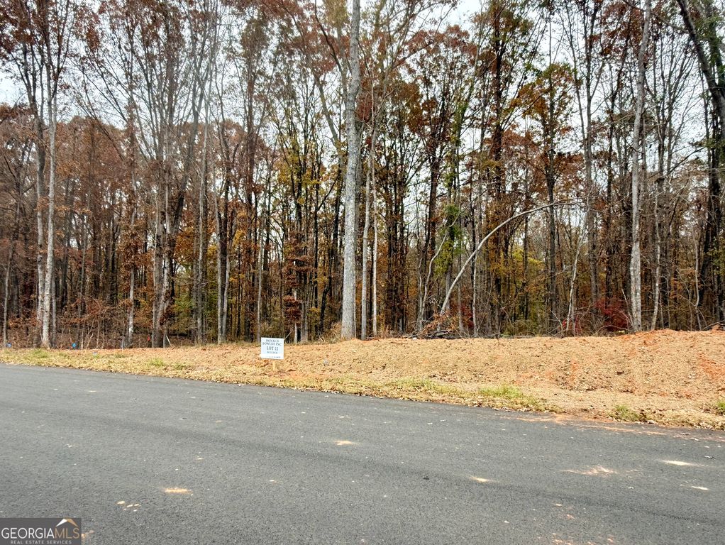 LOT 12 Rolling Meadows Way, Waverly Hall, GA 31831