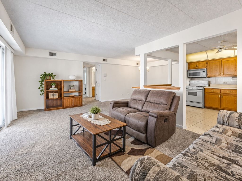 6248 S Gullikson Road 2E, Chicago, IL 60638 — photo 4