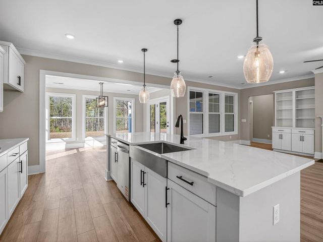 34 Elk Run Court, Chapin, SC 29036