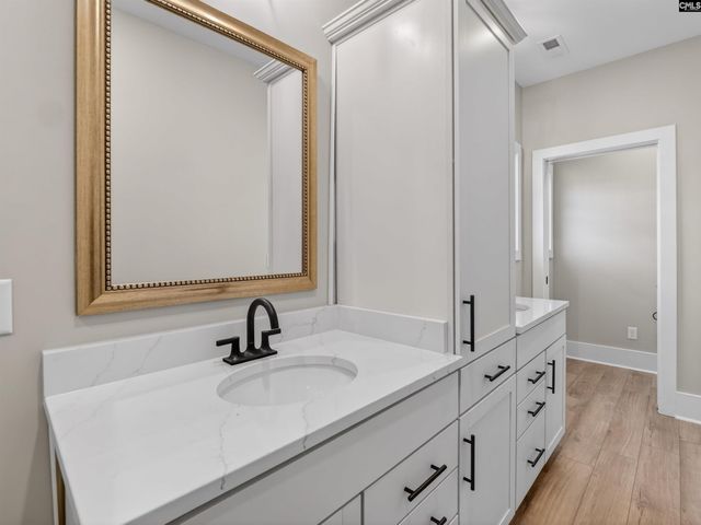 34 Elk Run Court, Chapin, SC 29036