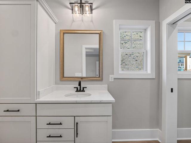 34 Elk Run Court, Chapin, SC 29036