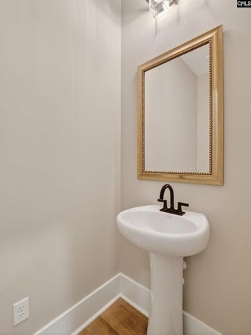 34 Elk Run Court, Chapin, SC 29036