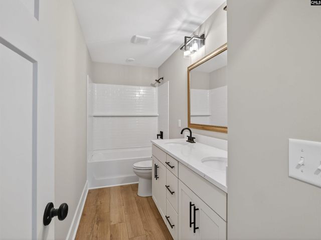 34 Elk Run Court, Chapin, SC 29036