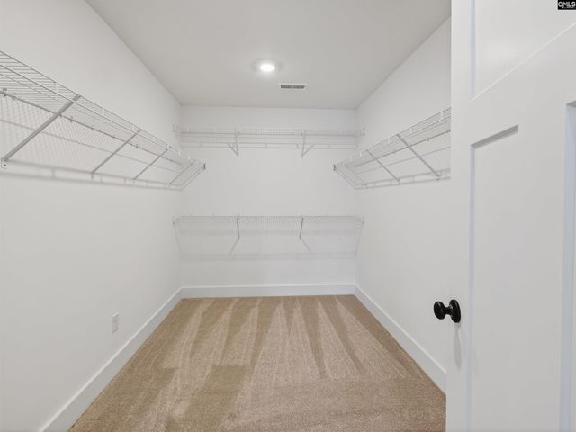 34 Elk Run Court, Chapin, SC 29036