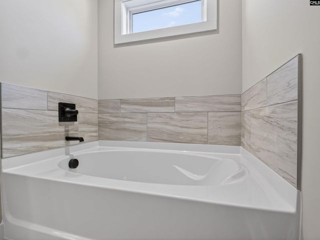 34 Elk Run Court, Chapin, SC 29036