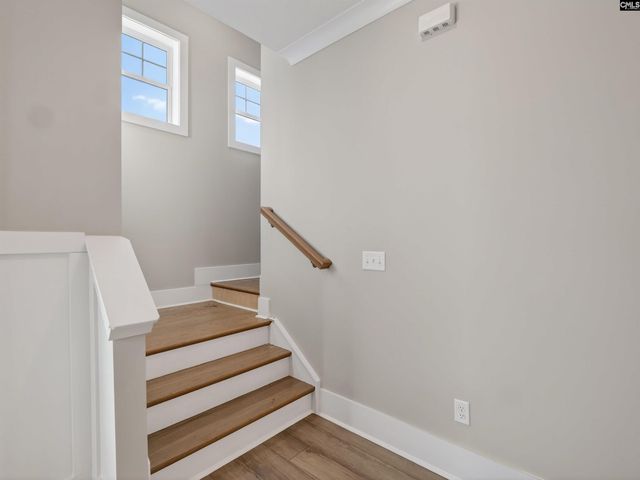 34 Elk Run Court, Chapin, SC 29036