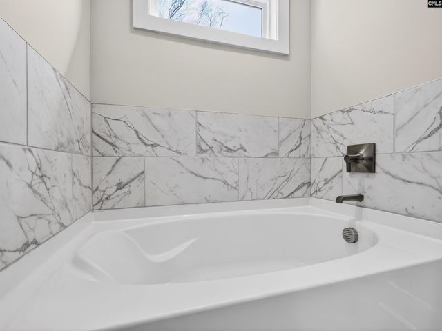 34 Elk Run Court, Chapin, SC 29036