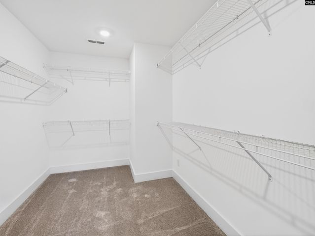 34 Elk Run Court, Chapin, SC 29036