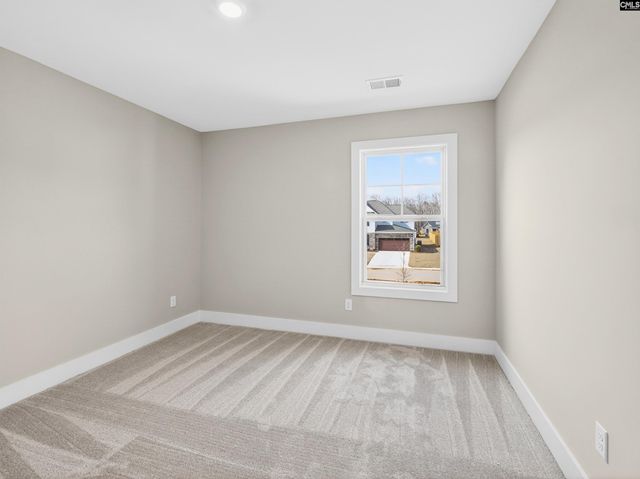 34 Elk Run Court, Chapin, SC 29036