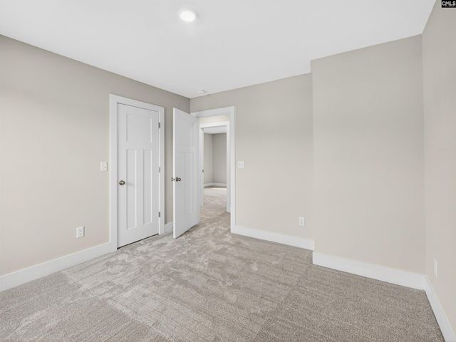 34 Elk Run Court, Chapin, SC 29036