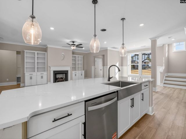 34 Elk Run Court, Chapin, SC 29036