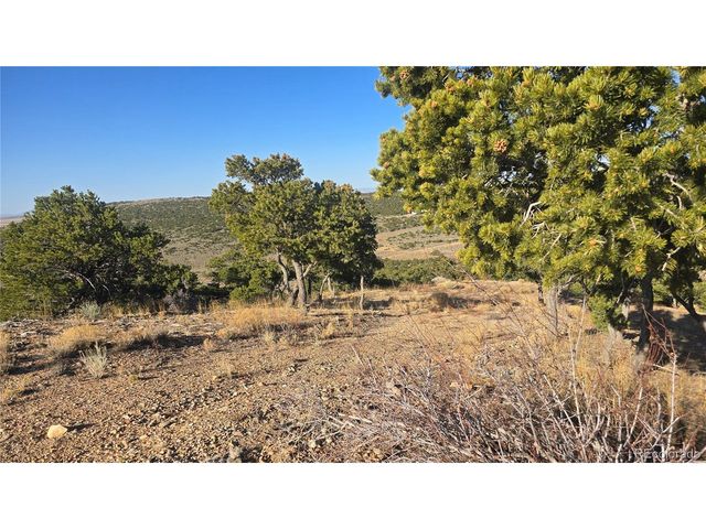 3859 Murray Rd, Fort Garland, CO 81133