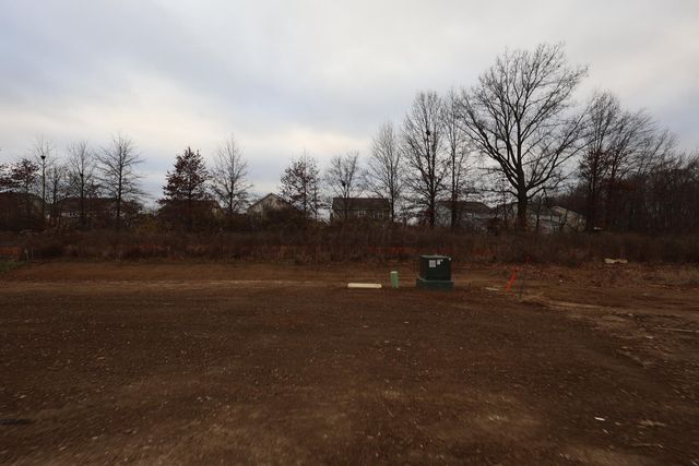 328 Royal Fern Lane, Lewis Center, OH 43035