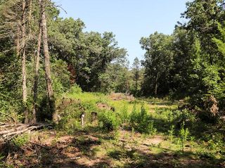 3583 E Croton Drive, Newaygo, MI 49337