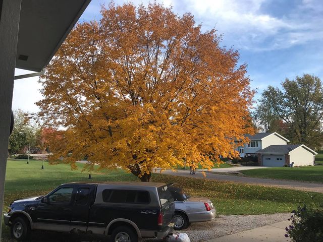 18864 Pioneer Street, Bloomington, IL 61705