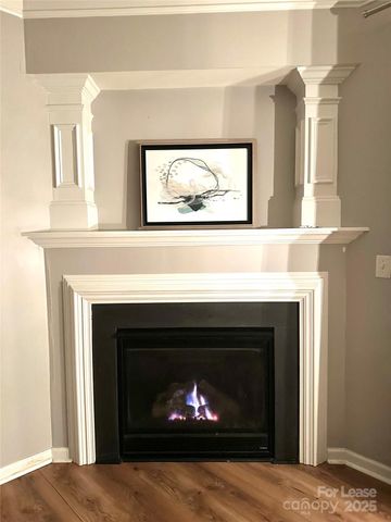 16732 Prairie Falcon Lane, Charlotte, NC 28278