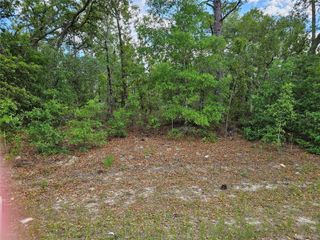 1681 W SKYLINE DRIVE, Dunnellon, FL 34434