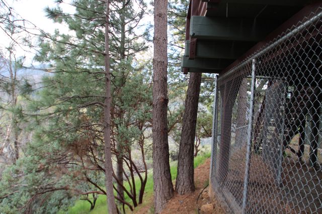 475 John Lewis Drive, Pierpoint Springs, CA 93265