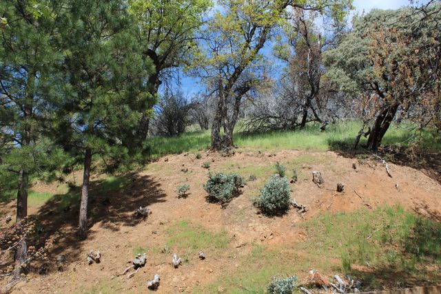 475 John Lewis Drive, Pierpoint Springs, CA 93265