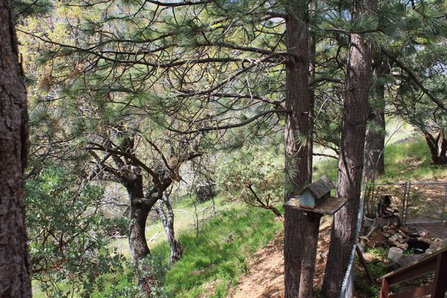 475 John Lewis Drive, Pierpoint Springs, CA 93265