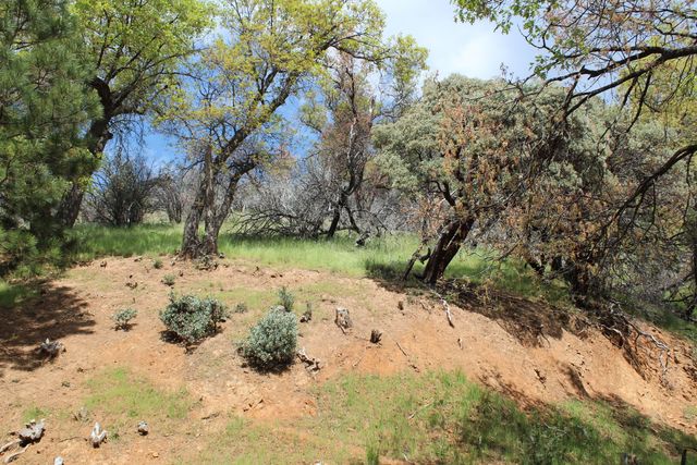 475 John Lewis Drive, Pierpoint Springs, CA 93265