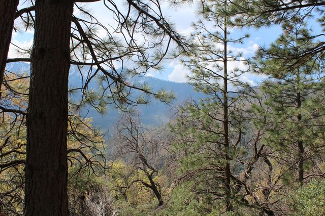 475 John Lewis Drive, Pierpoint Springs, CA 93265