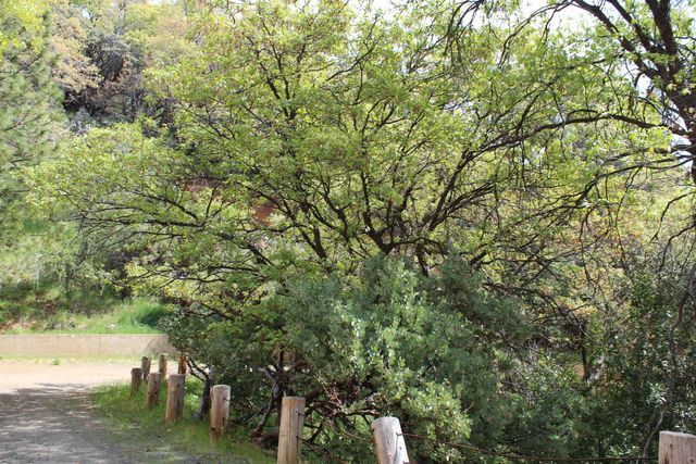 475 John Lewis Drive, Pierpoint Springs, CA 93265