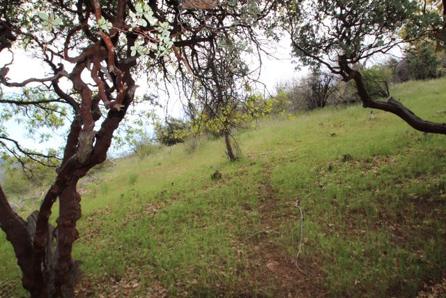 475 John Lewis Drive, Pierpoint Springs, CA 93265