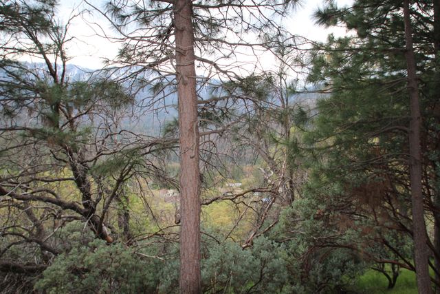 475 John Lewis Drive, Pierpoint Springs, CA 93265