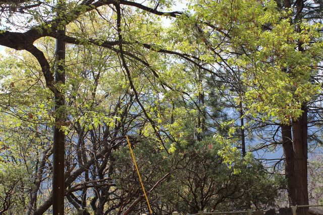 475 John Lewis Drive, Pierpoint Springs, CA 93265