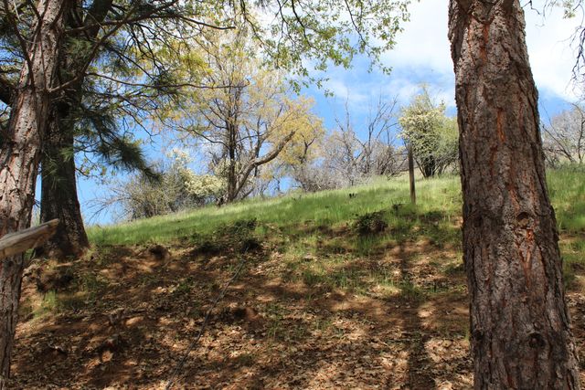 475 John Lewis Drive, Pierpoint Springs, CA 93265