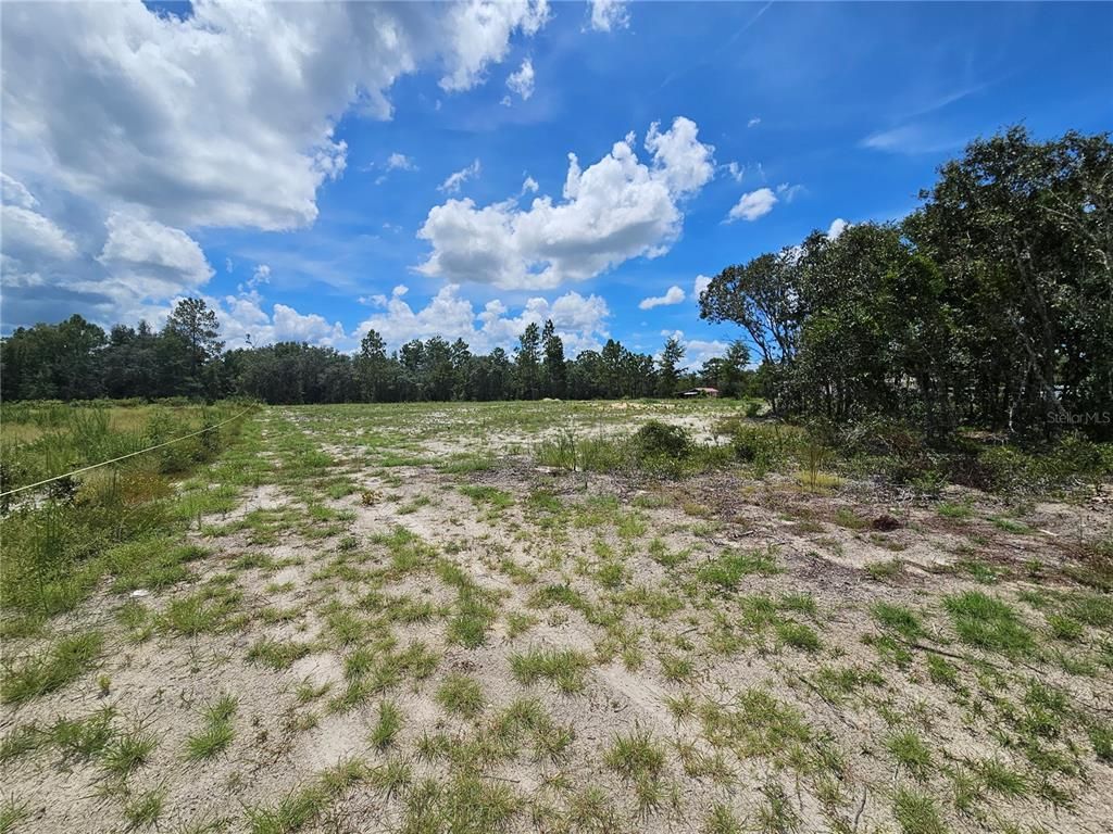 10290 NE 58TH LANE, Bronson, FL 32621
